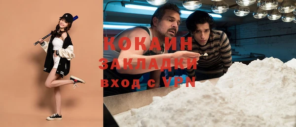 сатива Кодинск