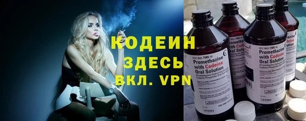 сатива Кодинск