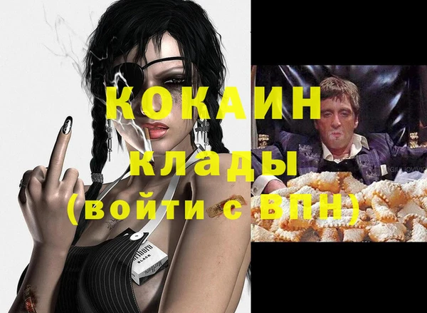сатива Кодинск