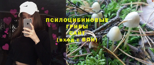 сатива Кодинск