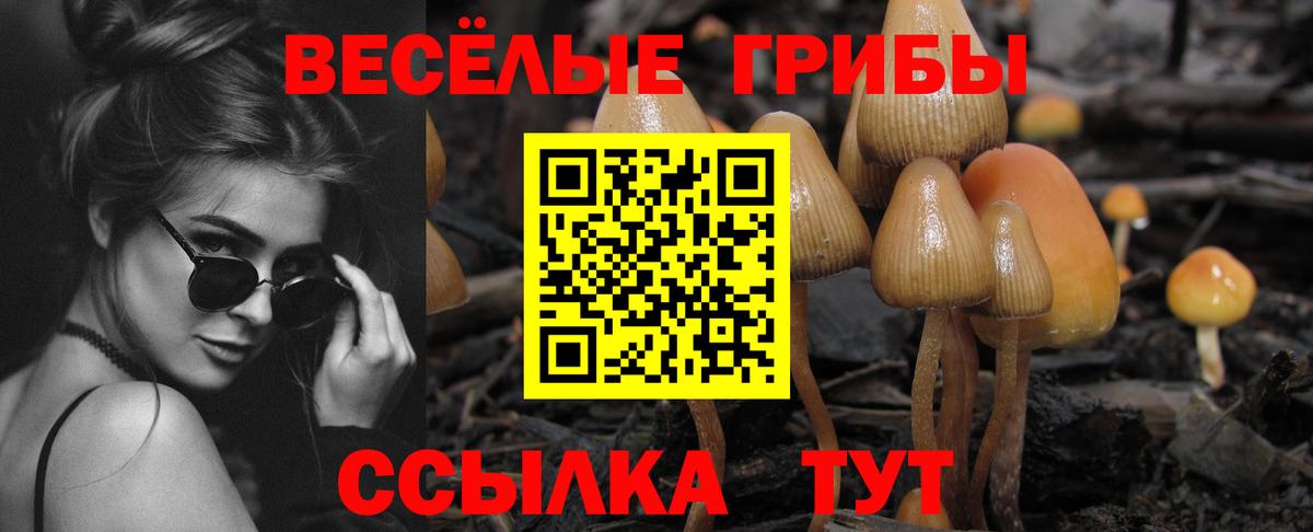 Кокаин  Марихуана  НБОМе  Мефедрон  МЕФ кристаллы  Вход с VPN  Хасавюрт  МДМА 