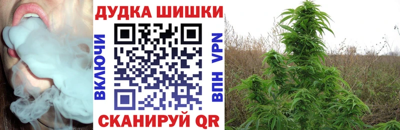 Канабис White Widow купить наркотик Хасавюрт